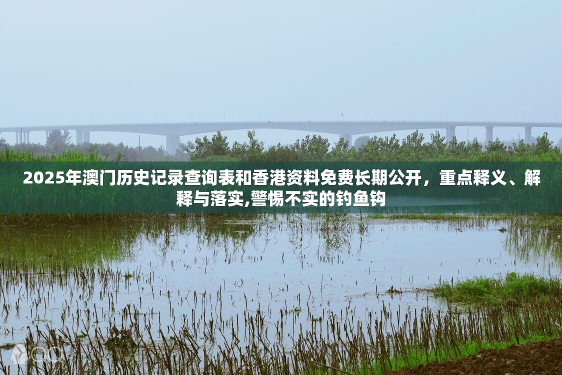 2025年澳门历史记录查询表和香港资料免费长期公开，重点释义、解释与落实,警惕不实的钓鱼钩