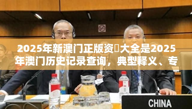 2025年新澳门正版资枓大全是2025年澳门历史记录查询，典型释义、专家解析解释与落实?小心误导宣传风险